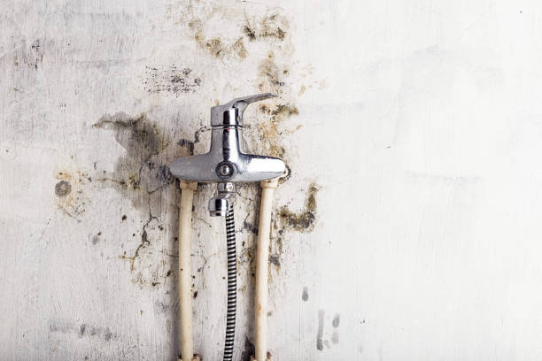 Best Water Damage Restoration  in Maplewood, MO