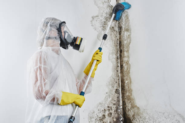Water Damage Restoration in Maplewood, MO