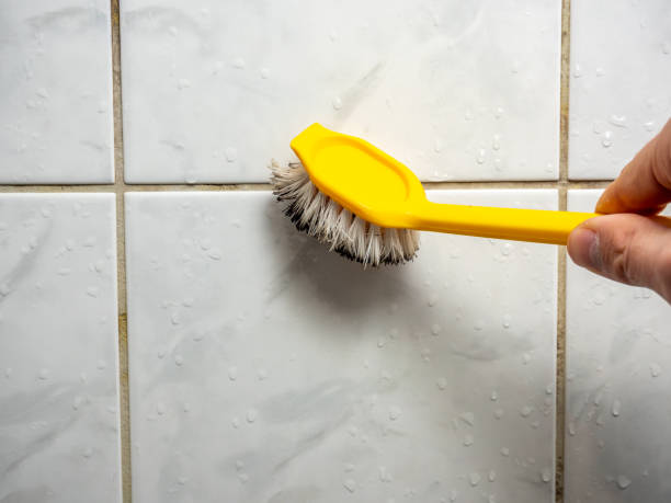 Best Mold Removal and Inspection  in Maplewood, MO