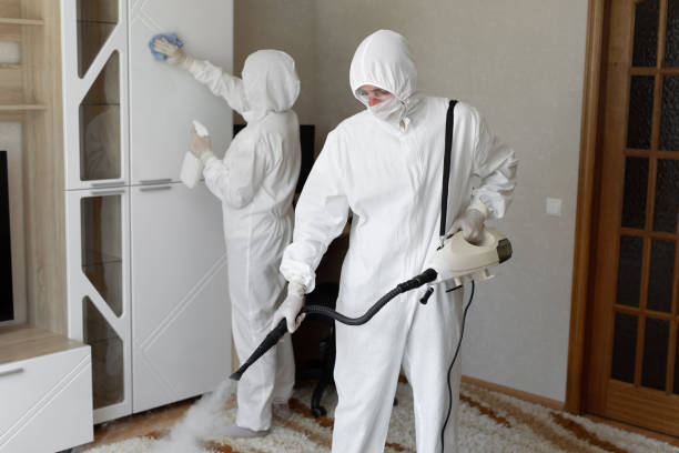 Best Residential Mold Removal  in Maplewood, MO