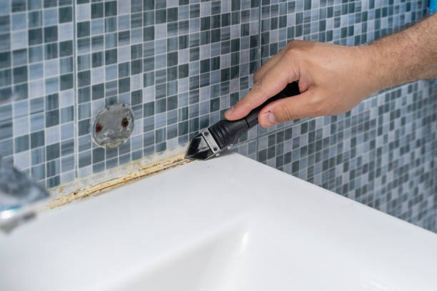 Best Emergency Mold Removal  in Maplewood, MO
